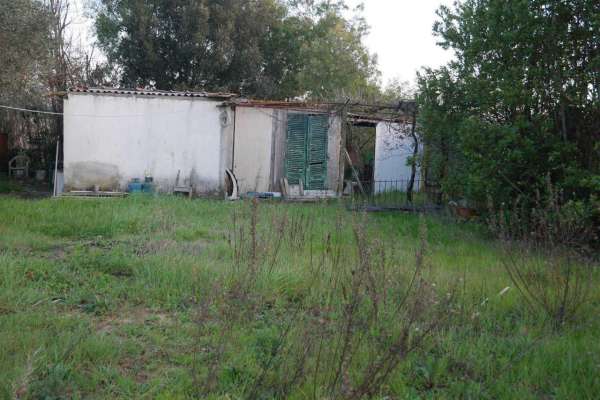 Foto Terreno edificabile residenziale in vendita a Cecina