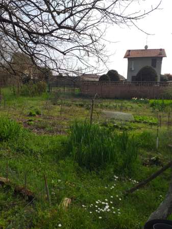 Foto Terreno edificabile residenziale in vendita a Lainate