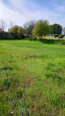 Foto Terreno edificabile residenziale in vendita a Lonato