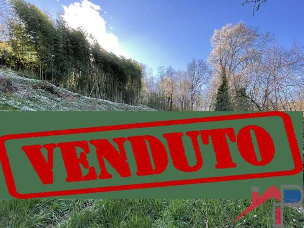 Foto Terreno edificabile residenziale in vendita a Palazzago