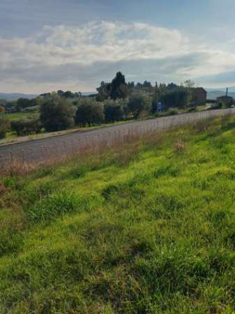 Foto TERRENO EDIFICABILE URBANIZZATO