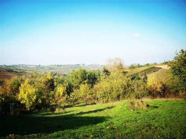 Foto TERRENO EDIFICABILE zona collinare (tra Piacenza e Pavia)