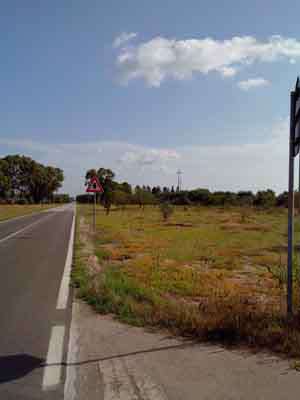 Foto Terreno in agro di Supersano (LE) esteso per circa 11200 mq con 110 alberi di ulivo 25000 trattabili