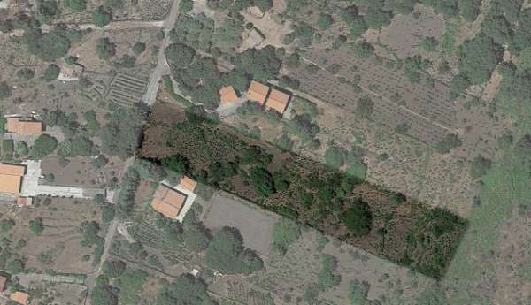 Foto TERRENO IN CONTRADA BOSCHETTO