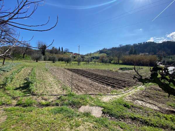 Foto TERRENO in VENDITA a ASCOLI PICENO
