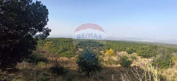 Foto Terreno in vendita a Biancavilla