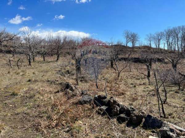 Foto Terreno in vendita a Biancavilla
