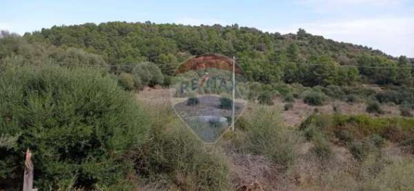 Foto Terreno in vendita a Caltagirone, Santo Pietro