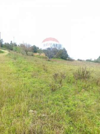 Foto Terreno in vendita a Caltagirone