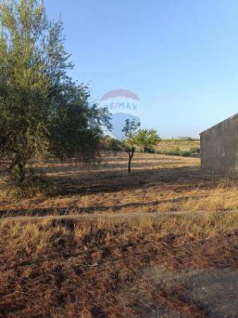 Foto Terreno in vendita a Caltagirone