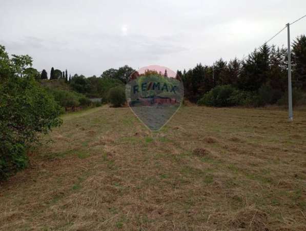 Foto Terreno in vendita a Caltagirone