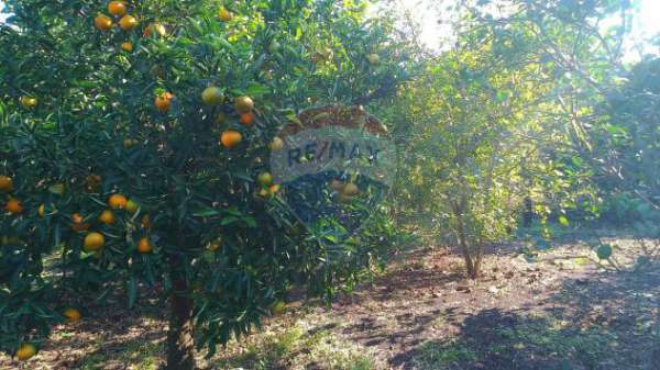 Foto Terreno in vendita a Giarre, Trepunti