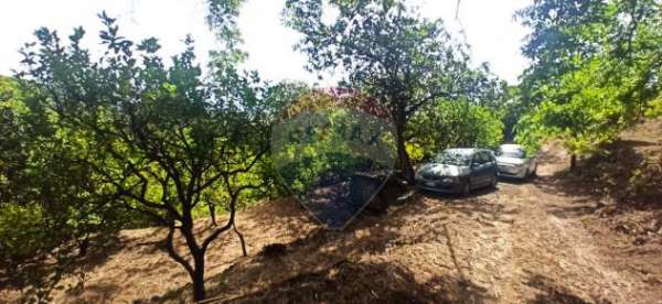 Foto Terreno in vendita a Giarre