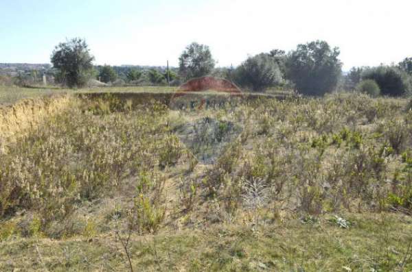 Foto Terreno in vendita a Grammichele