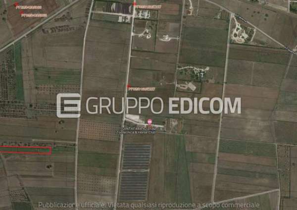 Foto Terreno in vendita a Guagnano - Rif. 4508707