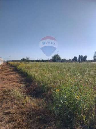 Foto Terreno in vendita a Ispica, Santa Maria del Focallo
