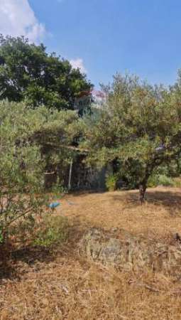 Foto Terreno in vendita a Mascalucia
