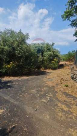 Foto Terreno in vendita a Mascalucia