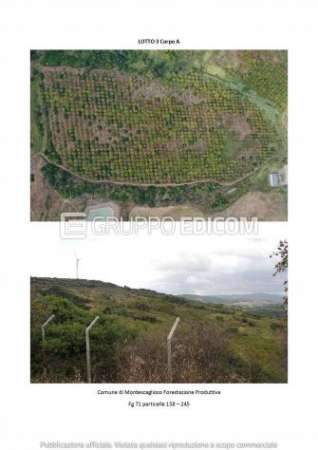 Foto Terreno in vendita a Montescaglioso - Rif. 4501323