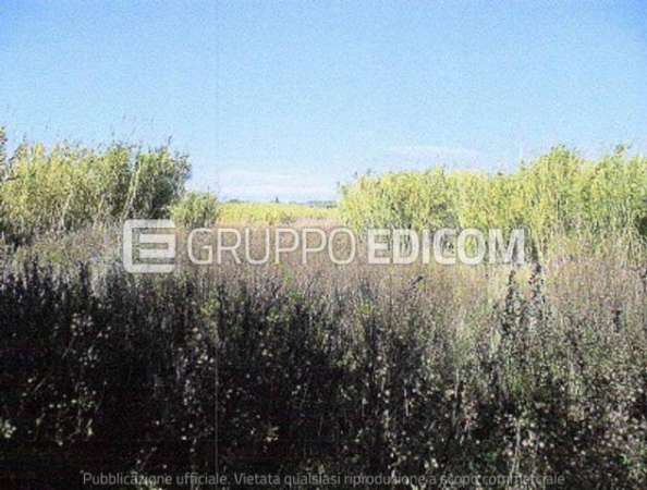 Foto Terreno in vendita a Noto - Rif. 4505122