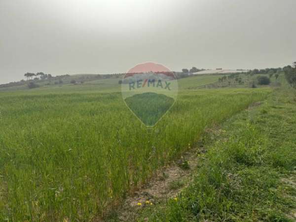 Foto Terreno in vendita a Noto