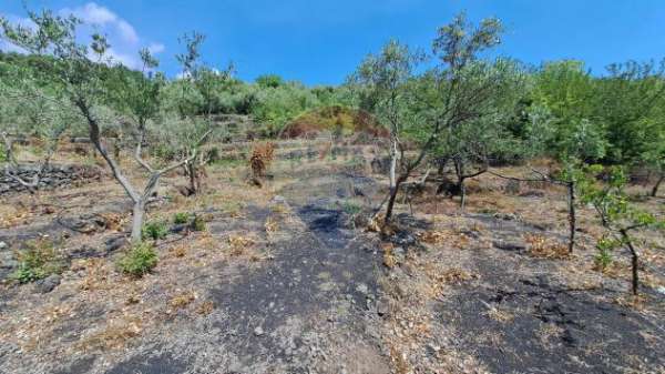 Foto Terreno in vendita a Santa Venerina, Monacella