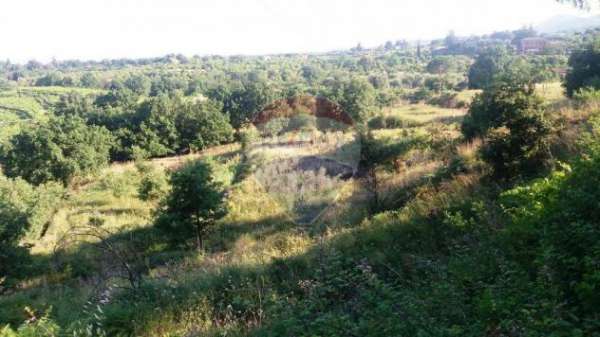 Foto Terreno in vendita a Santa Venerina