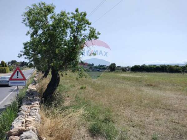 Foto Terreno in vendita a Siracusa, Elorina