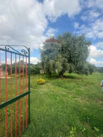 Foto Terreno in vendita a Siracusa, Tremmilia