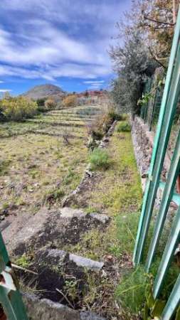 Foto Terreno in vendita a Viagrande