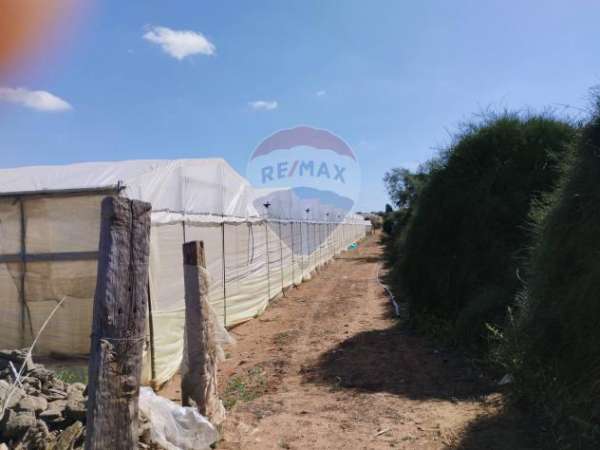 Foto Terreno in vendita a Vittoria, Scoglitti