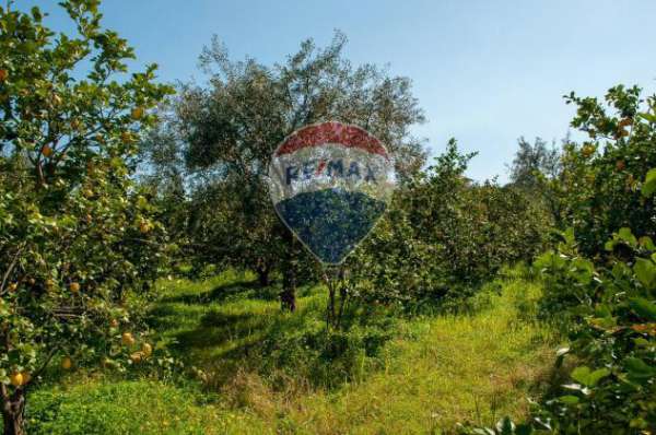Foto Terreno in vendita a Zafferana Etnea, Pisano