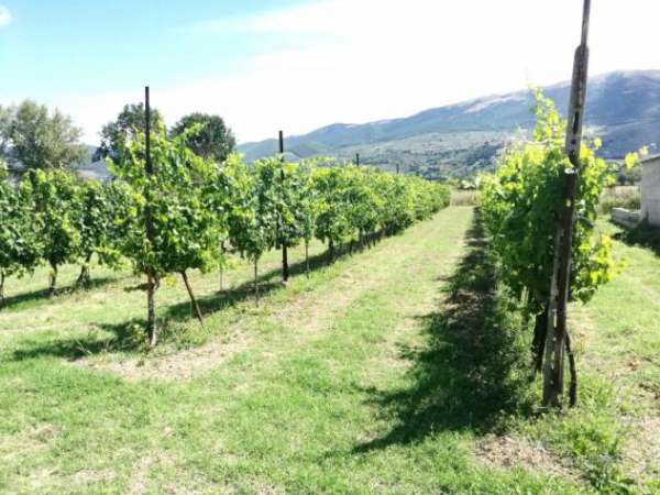 Foto Terreno in vendita in strada montefalco, 25, Montefalco