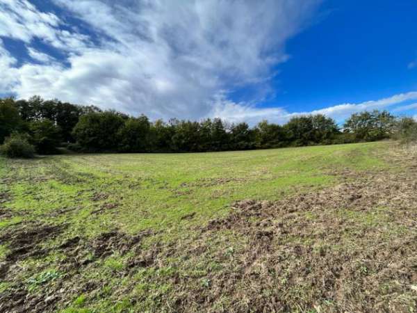 Foto Terreno in Vendita nelle campagne della Maremma Toscana, situato a San Giovanni delle Contee, Sorano, Questa splendida propriet  si trova a soli 8km d