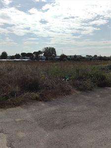 Foto Terreno industriale in Vendita, 4000 mq (SANTA MARIA CAPUA VETER