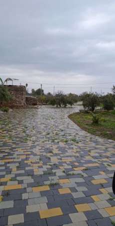 Foto Terreno pianeggiante