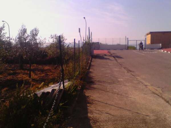 Foto terreno PIANEGGIANTE agricolo fondi lt