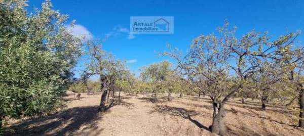 Foto Terreno Residenziale - Avola . Rif.: A93