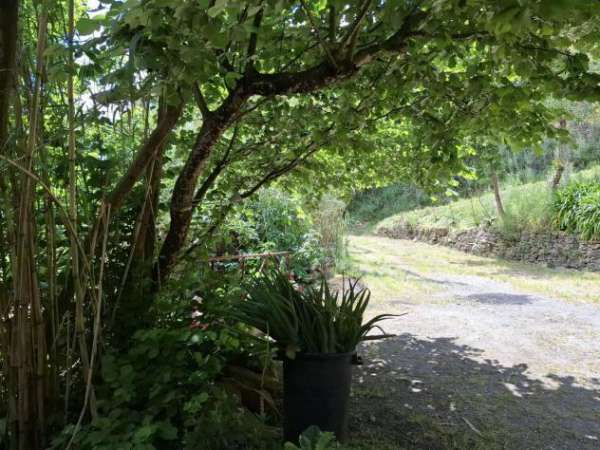 Foto Terreno Residenziale - Bordighera . Rif.: 33229