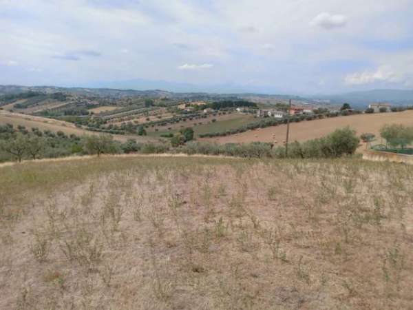 Foto Terreno Residenziale - Tortoreto . Rif.: cod. rifT380VRG
