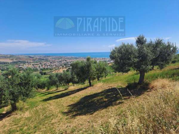 Foto Terreno Residenziale - Tortoreto . Rif.: T2