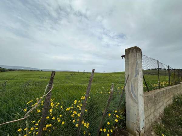 Foto TERRENO SEMINATIVO RECINTATO 30.000 MQ.  - 60.000 EURO