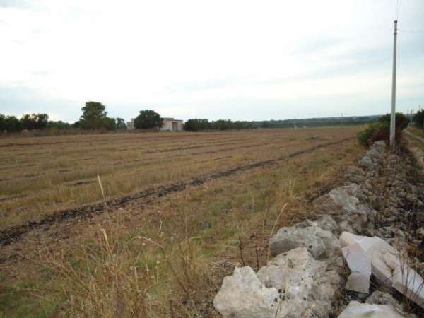 Foto Terreno verde-attrezzato 500mt dal mare a Borraco (Manduria -TA)