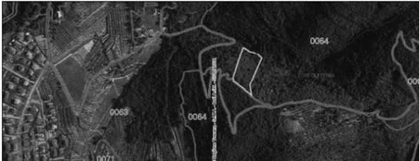 Foto Tribunale di Arezzo - RG 80/2015 Terreno in asta