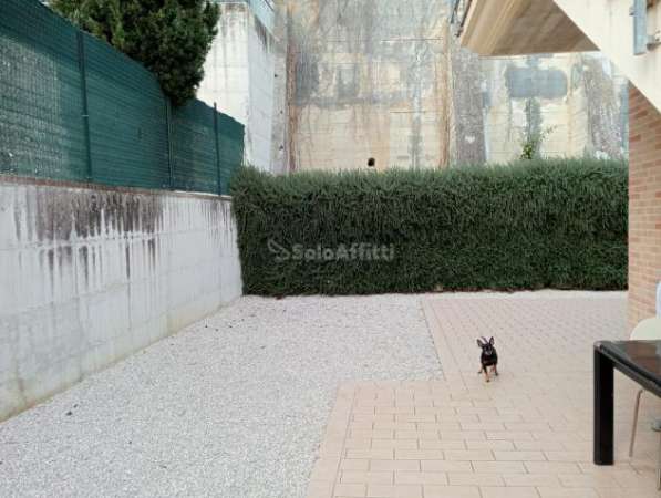 Foto Trilocale in affitto a Polverigi