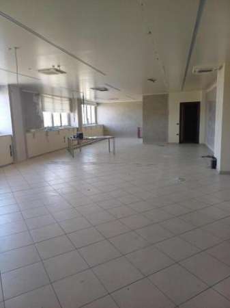 Foto Ufficio in vendita a Cascina 144 mq  Rif: 1296585