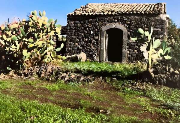 Foto Uliveto panoramico con casetta rurale alle pendici dell'Etna � 3.500 mq