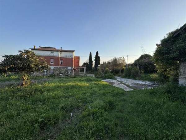 Foto VELLETRI - TERRENO EDIFICABILE