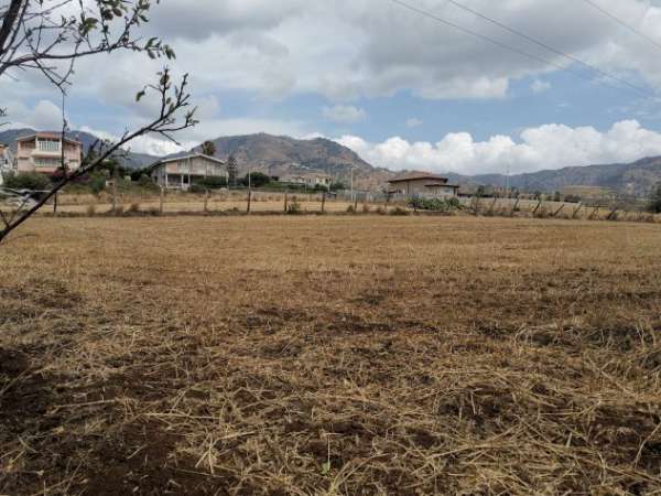 Foto VENDESI - REGGIO CALABRIA - ARETINA
