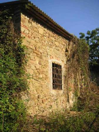 Foto VENDESI COLONICA DA RESTAURARE  IN VICCHIO LOCALITA' VIGNALE